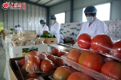 “第一书记”王超:产业帮扶促农民增收
