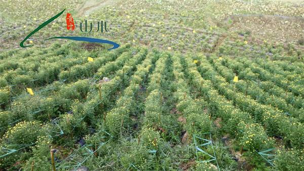 贵州农副产品-贵州山水贵客文化旅游-农副产品生产厂家由贵州山梭贵